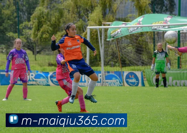 买球官网入口发展历程