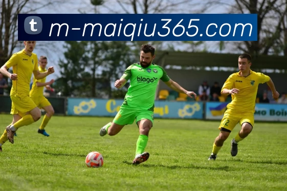 重磅专题探讨北京网球队防守革新背后的战术思考与实践探索